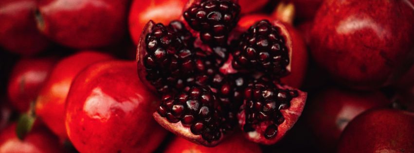 Kwas elagowy a profilaktyka raka piersi