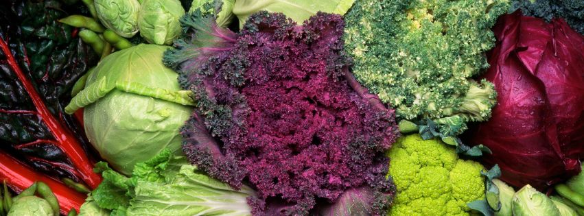 Indolo-3-karbinol (I3C) – co to jest i dlaczego budzi zainteresowanie?